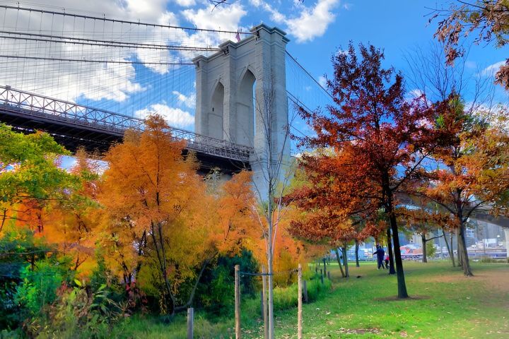 Walking tour in Manhattan Brooklyn Bridge and Waterfront