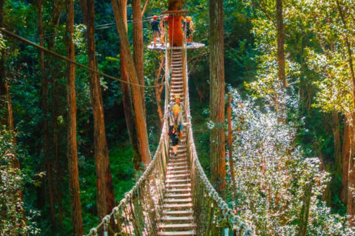 Big Island Kohala Canopy Adventure