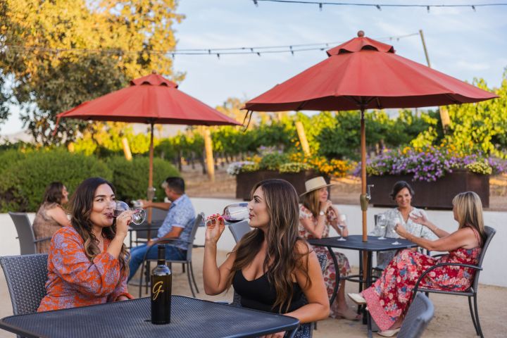 10+ Large Group Wine Tasting 