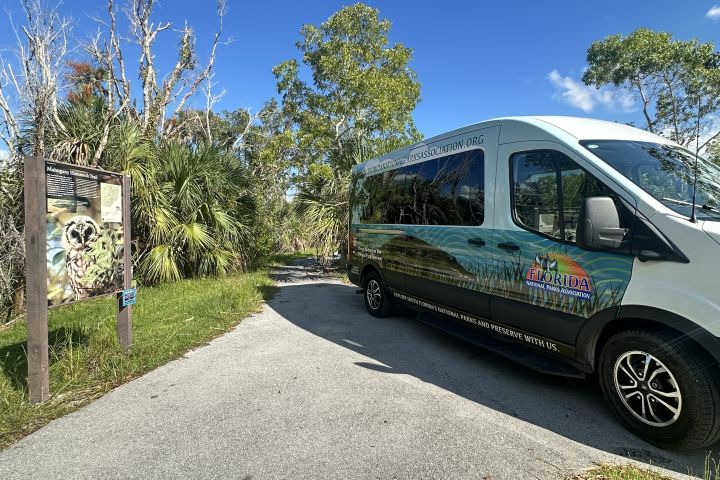 Flamingo Experience: Guided Journey through the Everglades