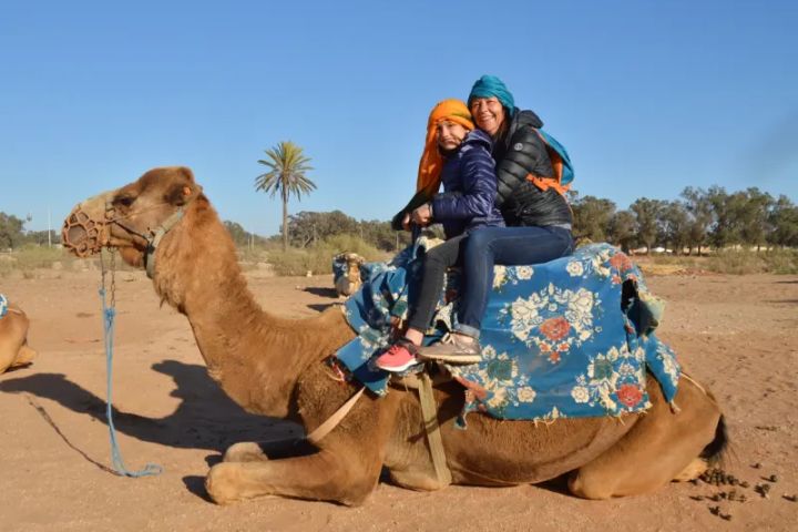 BBQ & Camel ride in Agadir​