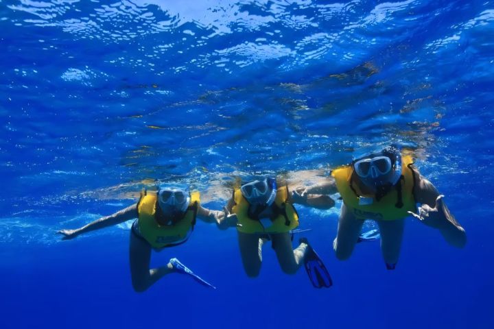 Turtle Canyon Snorkeling Tour Honolulu