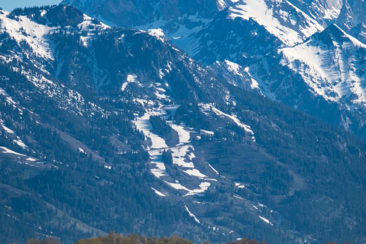 Scenic Float on the Snake River With Views of the Tetons
