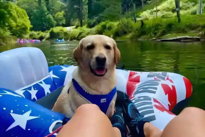 Wahoos Adventures New River Outpost Tubing