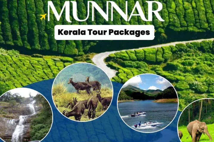 Kerala Munnar Tour Packages