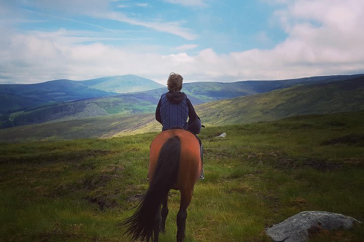 Wicklow Mountains Horse Trekking