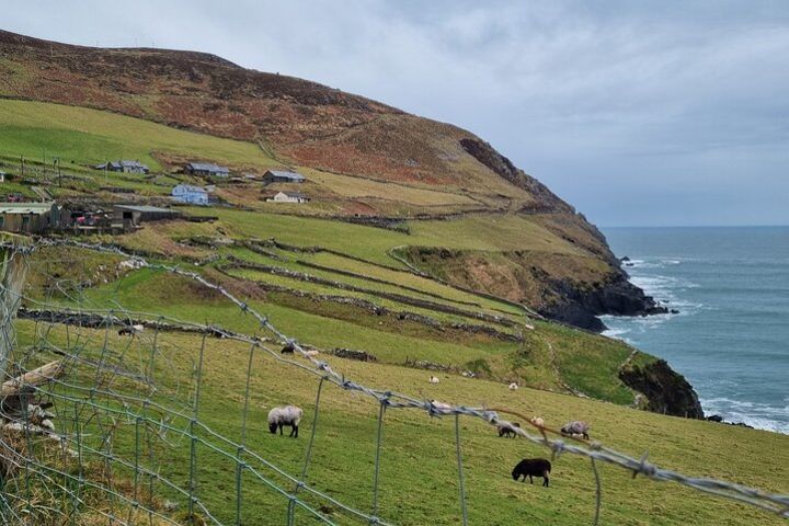 Dingle: Slea Head Drive Tour Full Day - Personal Chauffeur Guide