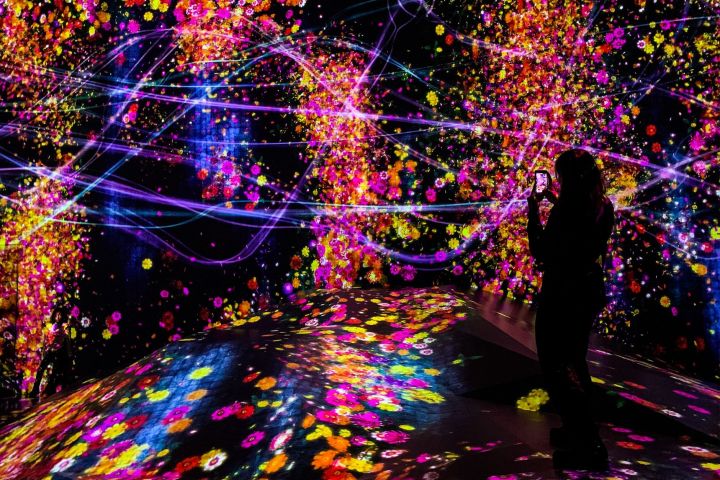 teamLab Borderless Tokyo Admission Tickets