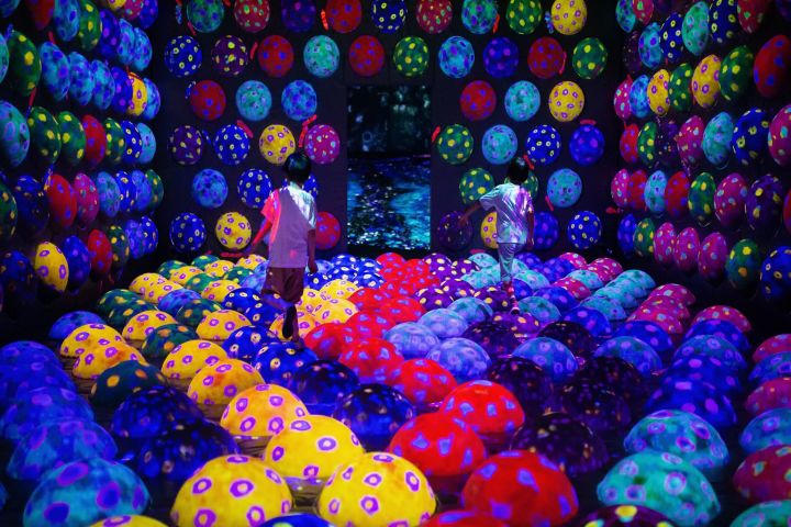 teamLab Borderless Tokyo Admission Tickets