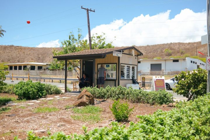 Waikiki Trolley Diamond Head Shuttle