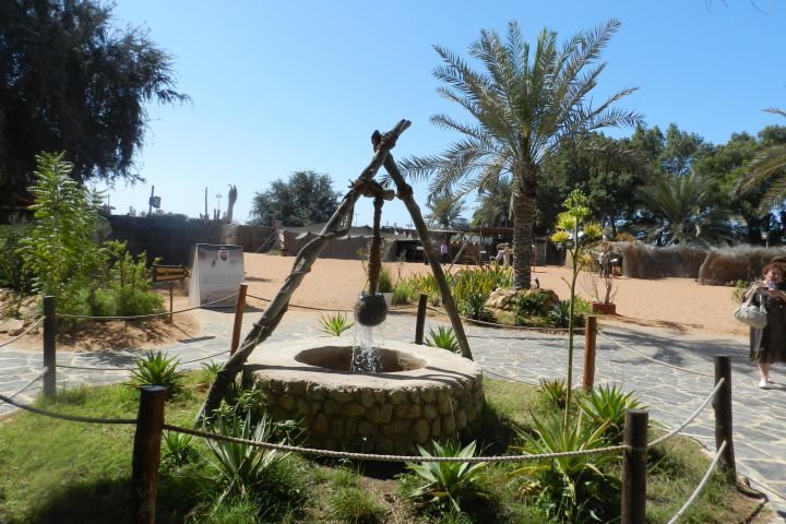 Abu Dhabi City Tour from Dubai with Grand Mosque