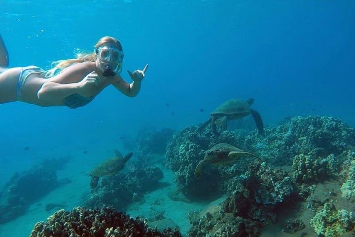 Guided Snorkel Tour with Turtles in San Juan
