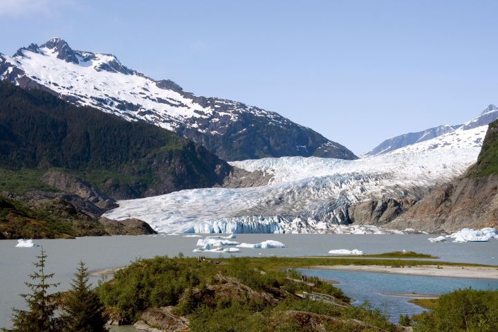 Juneau Wildlife Whale Watching & Mendenhall Glacier Tour