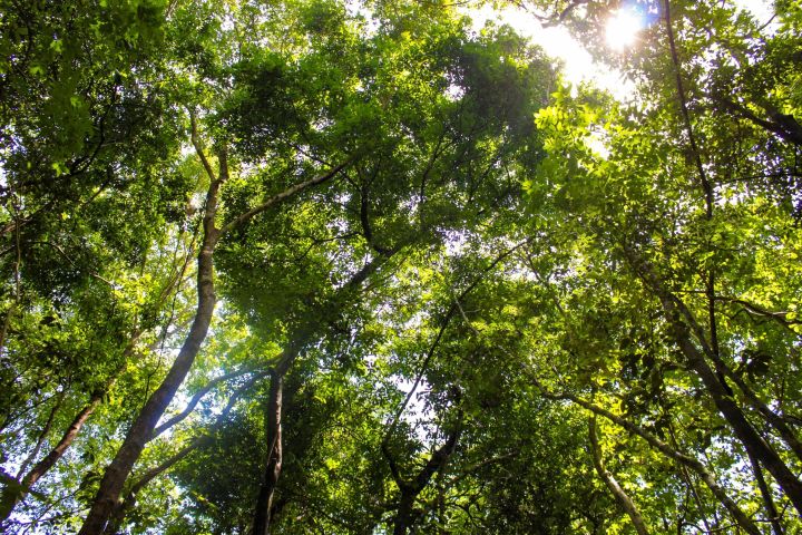 Cu Chi Tunnels & Mekong Delta Tour