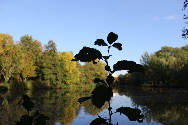 Castelli Romani Wine & Food Tour