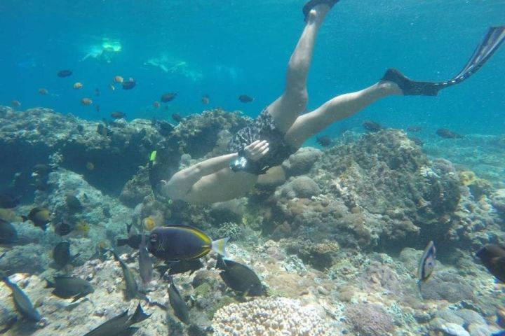 Bali Blue Lagoon Snorkeling Adventure