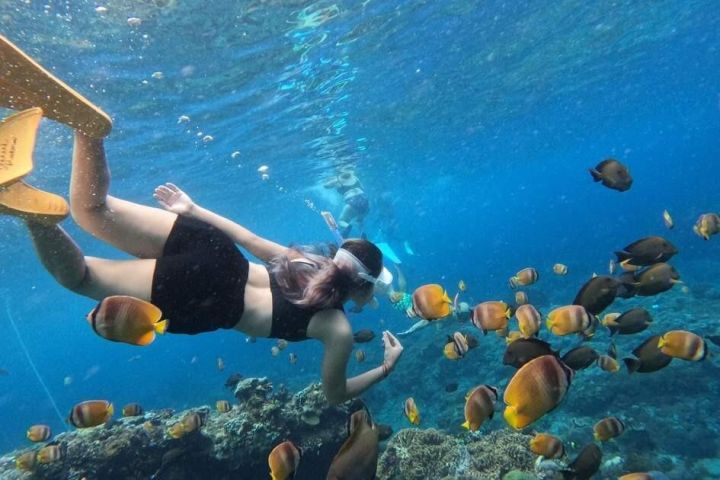 Bali Blue Lagoon Snorkeling & Ubud Jungle Swing Tour