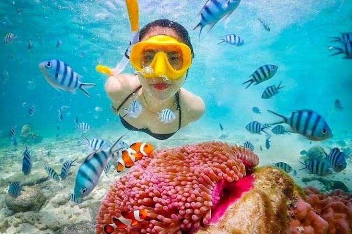 Bali Blue Lagoon Snorkeling & Ubud Jungle Swing Tour