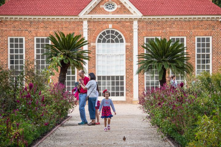 Grand Canyon South Rim Day Tour from Las Vegas