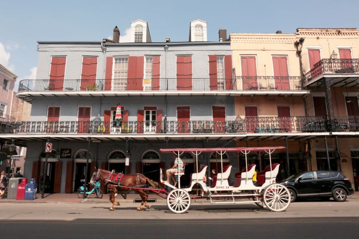 New Orleans Hop-On Hop-Off Bus Tour