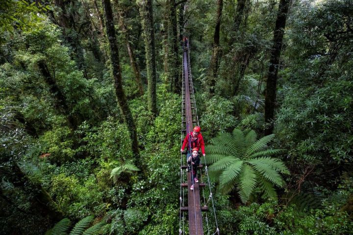 Rotorua Forest Zipline Adventure