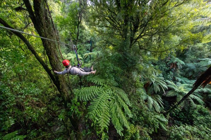 Rotorua Forest Zipline Adventure