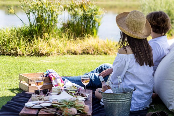 Cape Town Helicopter, Wine Tasting & Picnic Lunch Private Tour