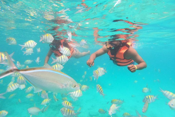 Punta Cana Speedboat Snorkeling Adventure