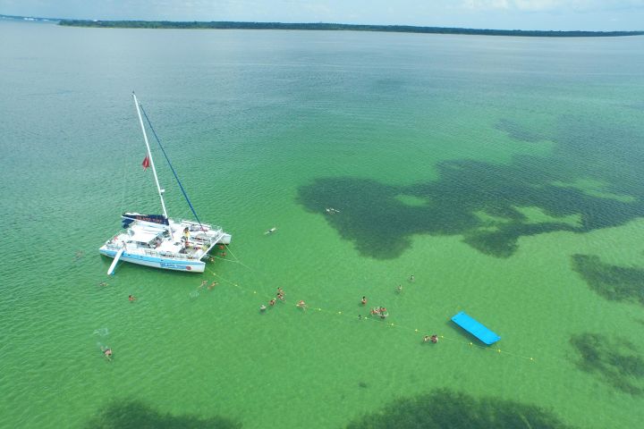 Shell Island Snorkel & Dolphin Cruise