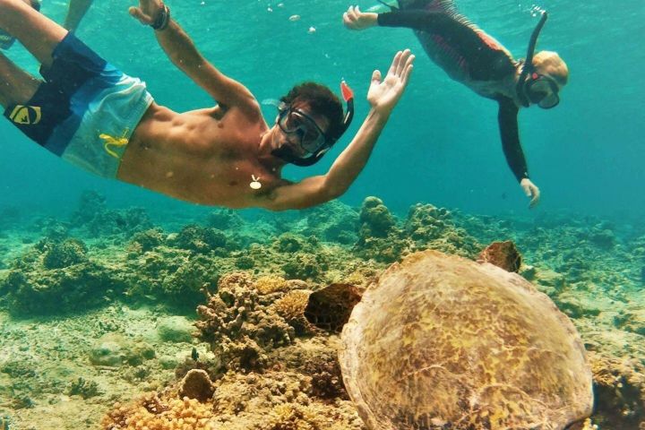 Oahu Circle Island Snorkel Adventure