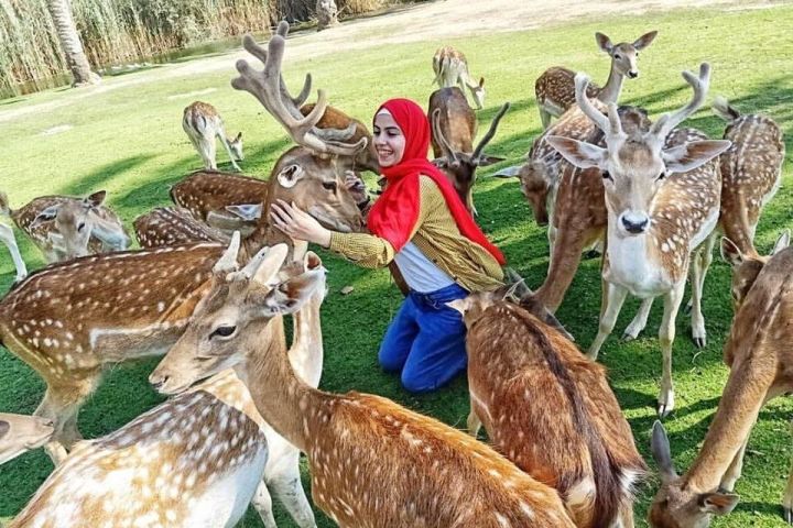 Private Safari Tour to Africano Park Alexandria from Cairo