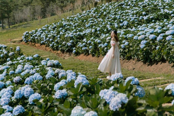 Da Lat Full-Day Tour: Top Attractions