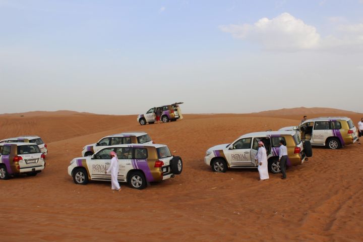 Morning Desert Safari: Dune Bashing & Camel Ride Experience