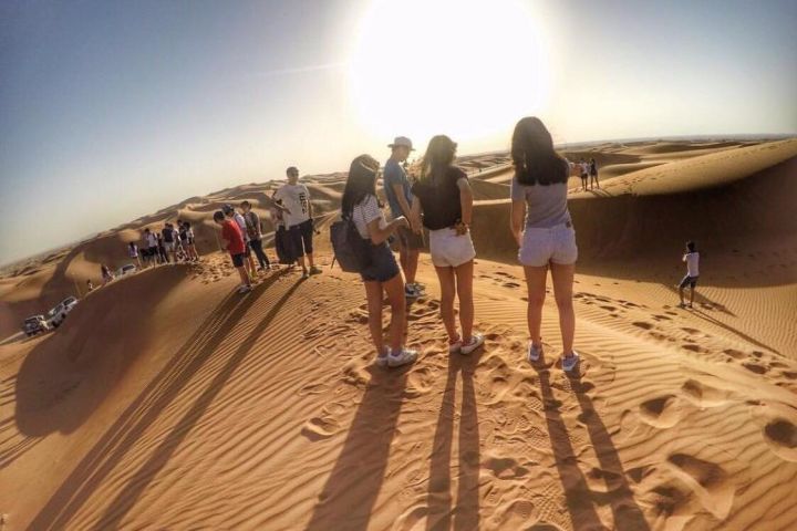 Morning Desert Safari: Dune Bashing & Camel Ride Experience