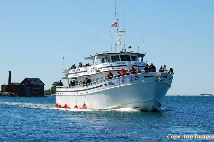 Gloucester Whale Watching Tour