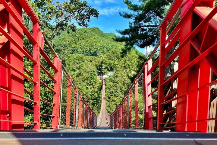 Best Korea DMZ Tour Year-Round