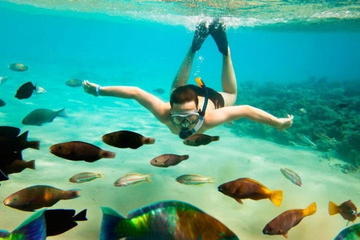 Cabo San Lucas Shopping, Tequila Tasting, and Snorkel Tour