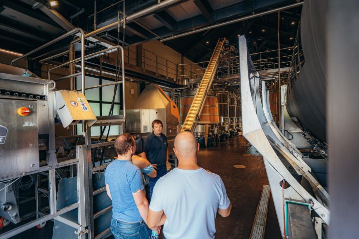 Langhe and Barolo Wine Tour from Turin