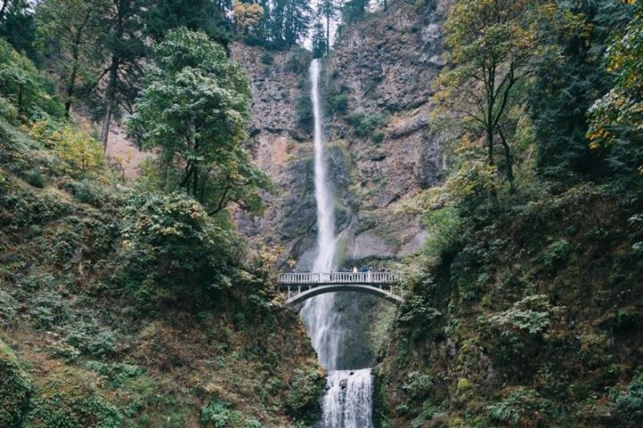 Afternoon Waterfalls Tour from Portland