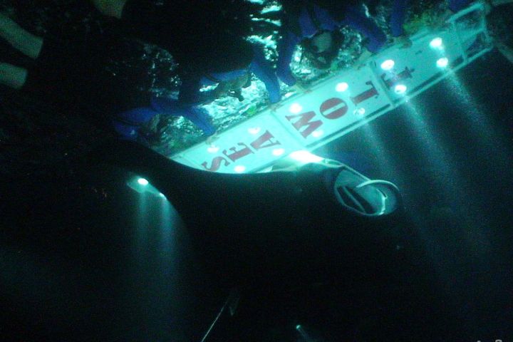 Kona Manta Ray Night Snorkel Adventure