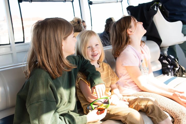 St. Augustine Dolphin & Wildlife Cruise