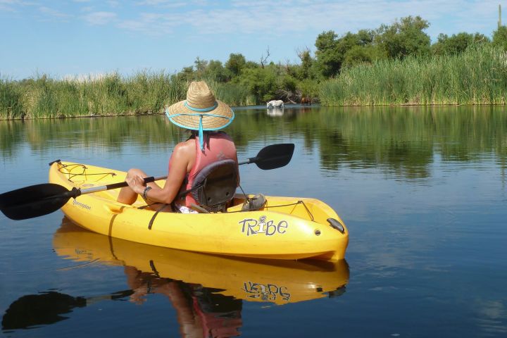 Salt River Foxtail Kayaking Adventure