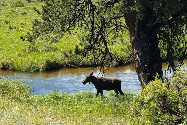 Rocky Mountain National Park Tour