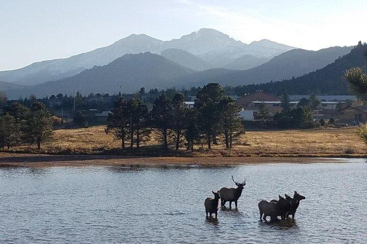 Rocky Mountain National Park Tour