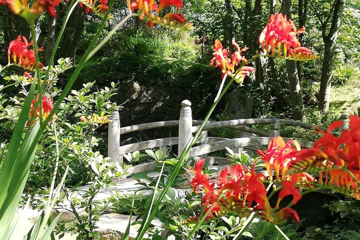 Lafcadio Hearn Japanese Gardens Admission Adult Ticket 