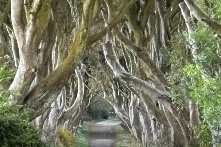 Ireland North Coast MEGA Trip for up to 8 Passengers 