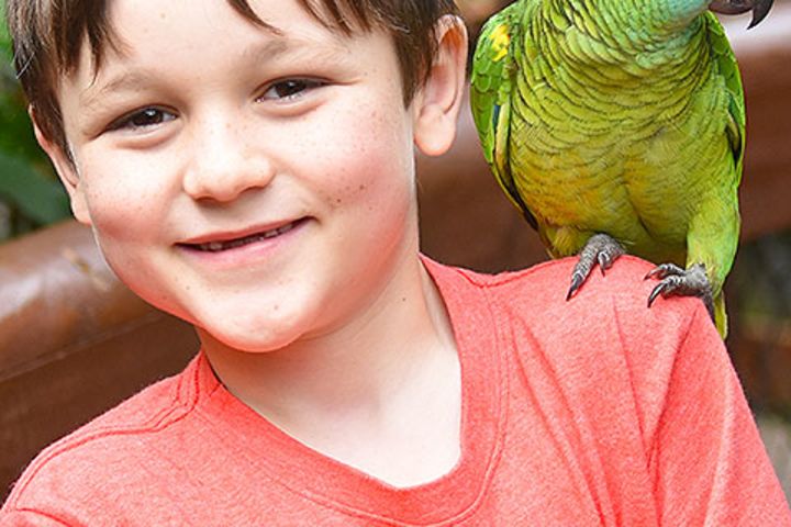 Birdworld Kuranda Rainforest Aviary