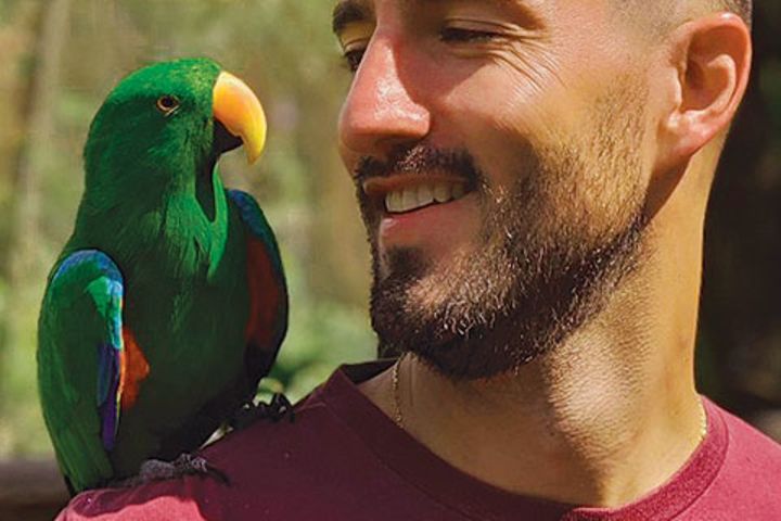 Birdworld Kuranda Rainforest Aviary