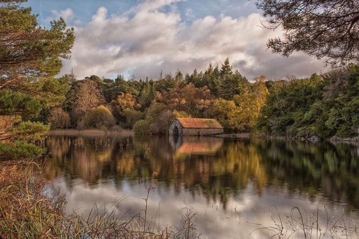 Muckross House and Gardens, Killarney - Scenic Tour (Minimum 4 People - 1 way).