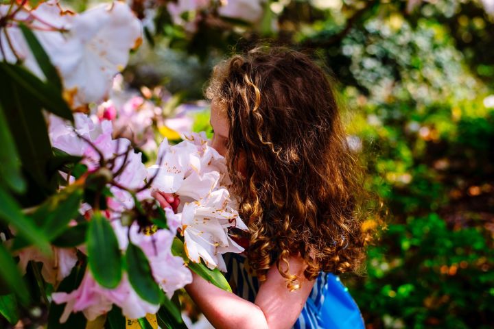 City Highlights & Sunset Tour